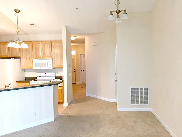 1135 Park Rd #3303 — Photo 6
