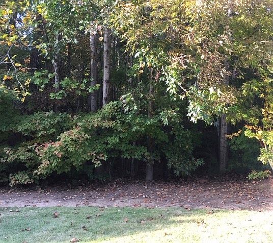 1st image of 4810 Thornhill Dr NW