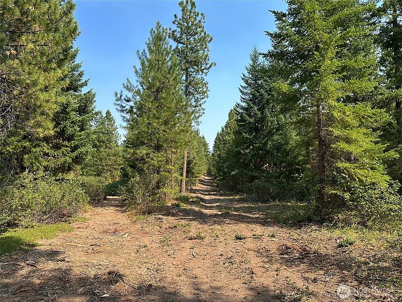 4th image of 2 Cedar Monument Road