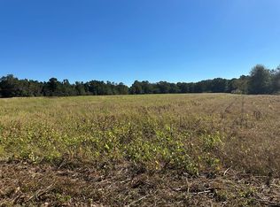 0 Pt Salter Rd, Poulan, GA 31781