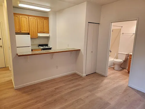 Pine Street Apartments Photo 1