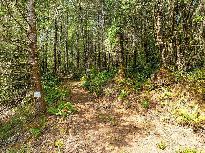 4th image of 0 Lincoln Creek Road