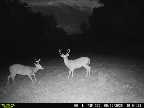 3rd image of 0 Cold Run Valley Rd