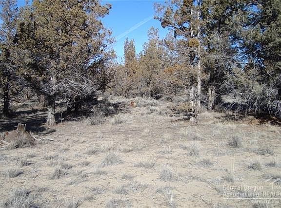 2nd image of 1919 SE Texas Cir