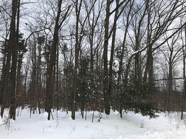 Homesite w/mature hardwoods