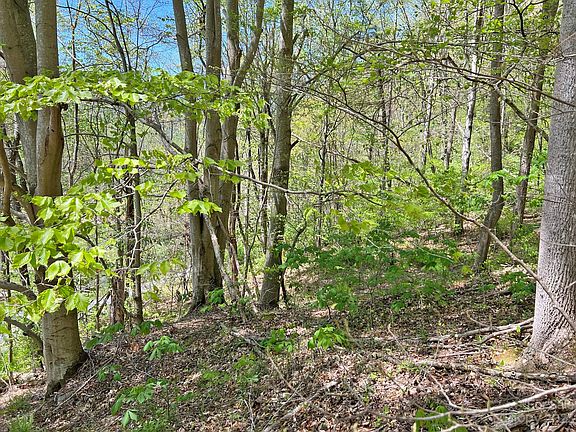 3rd image of Tbd Nc 209 Hwy