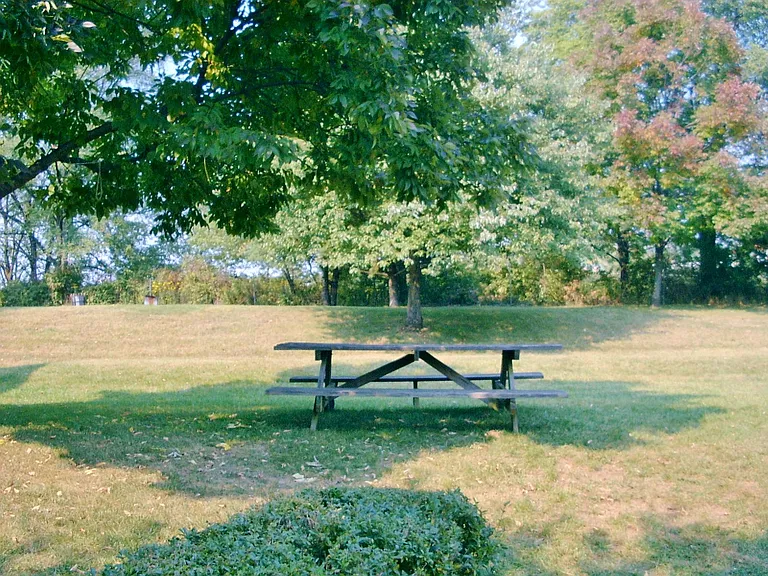 Sandalwood — Photo 12