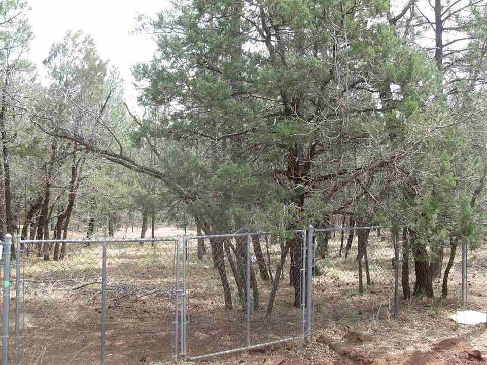 2nd image of 3265 Lynx Dr
