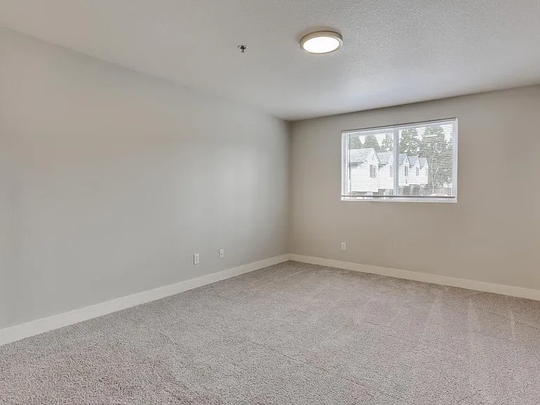 Veri 1319 — Photo 185
