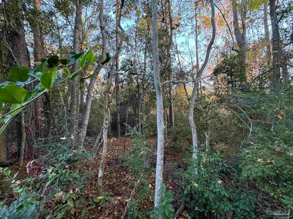 Gonzalez Park Dr, Cantonment, FL 32533