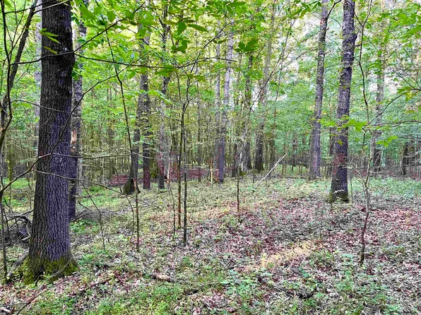 14.45 Hayslett Rd, Collierville, TN 38017
