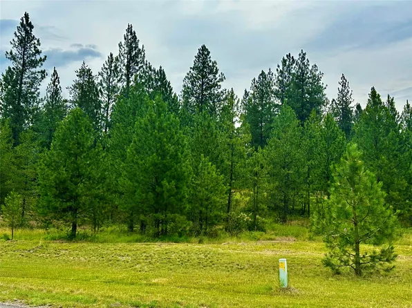 Nhn Mahonia Rd, Plains, MT 59859