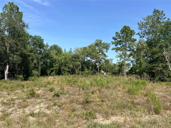 NE 150th Ct Lot 16, Williston, FL 32696