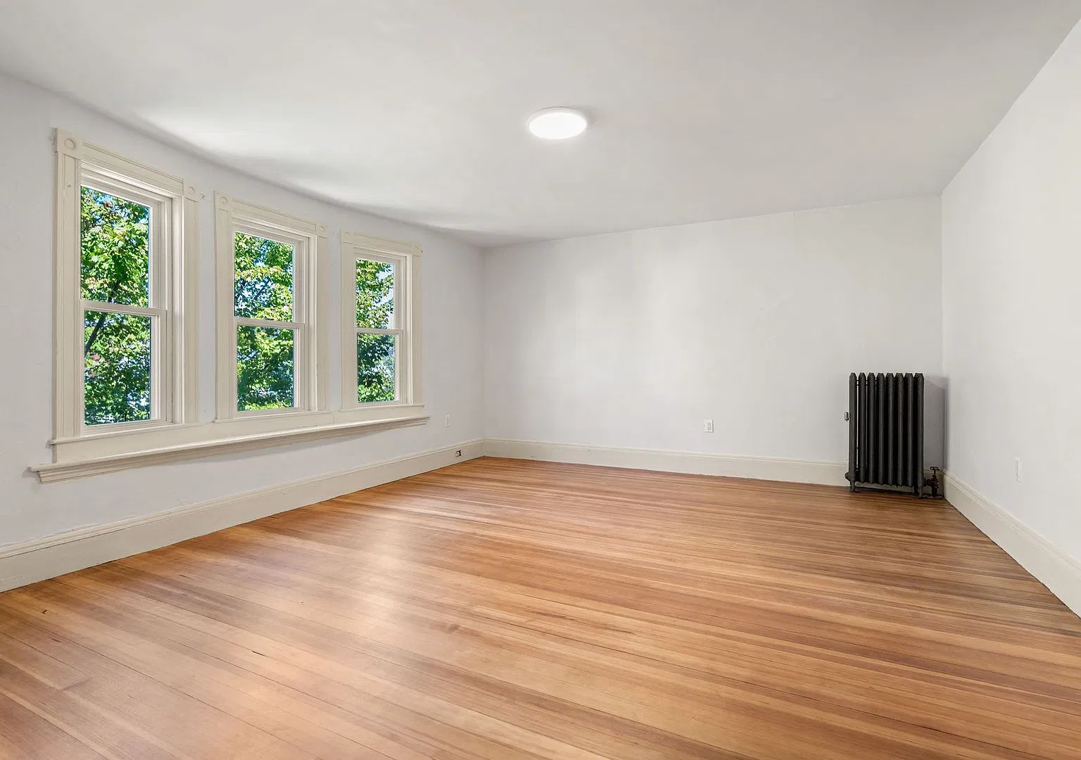 Amazing 4 bed 1.5 bath in Somerville — Photo 4