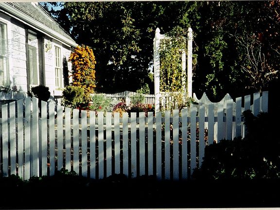 Front Yard Side View