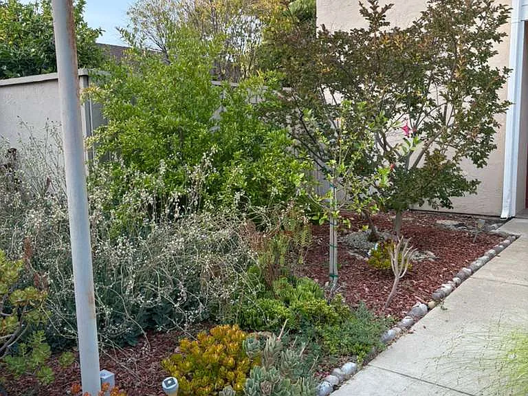 Albatross Dr — Photo 2