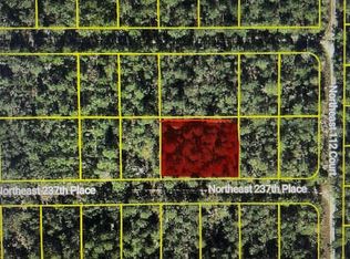 TBD NE 237TH PLACE LOT 12, FORT MC COY, FL 32134