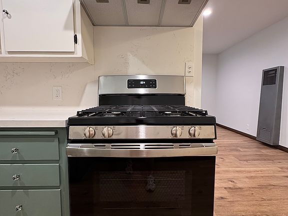 Stainless steel gas range