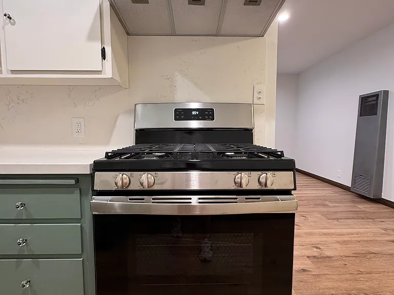 Stainless steel gas range