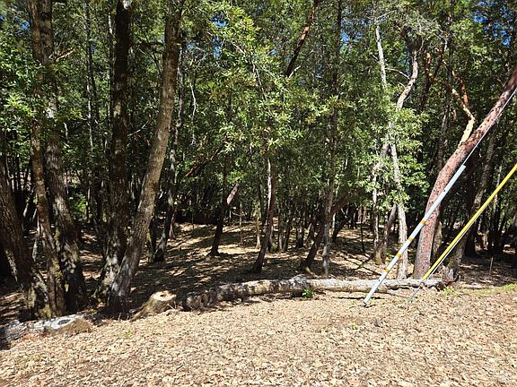 2nd image of 1686 Ponderosa Road