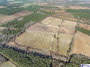 2 Sunset Dr, Latta, SC 29565