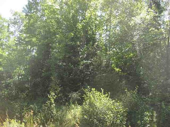 Nicely Wooded