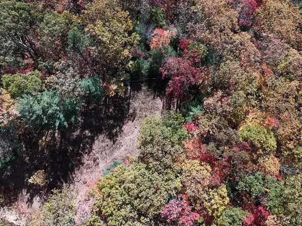 1205 Mays Ridge Rd, Butler, TN 37640