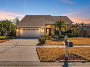 6208 Forrestal Dr, Tampa, FL 33625