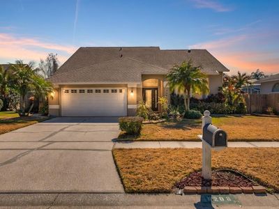 6208 Forrestal Dr, Tampa, FL, 33625