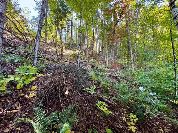 24 Marsh Road, Columbia, NH 03590