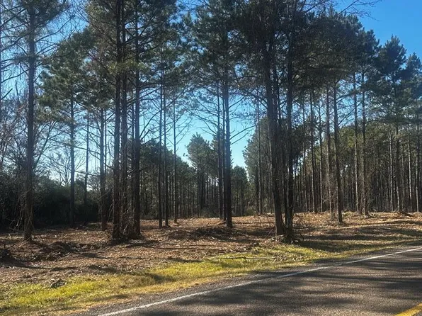 358 Holcombe Rd, Groveton, TX 75845