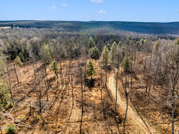 LOT Six Mountain Rd, Lilly, PA 15938