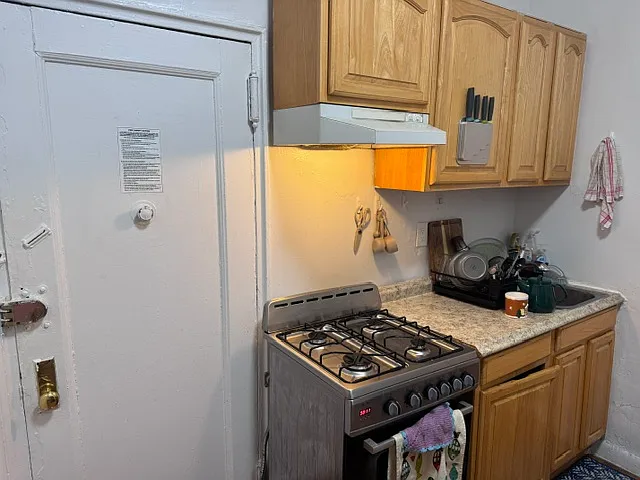 331 E 88th St #4B — Photo 7