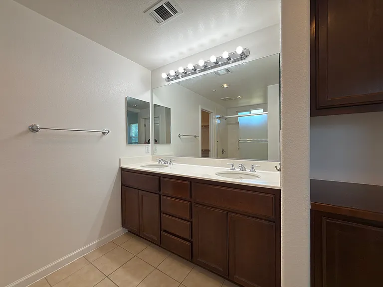 Master Bathroom Sink