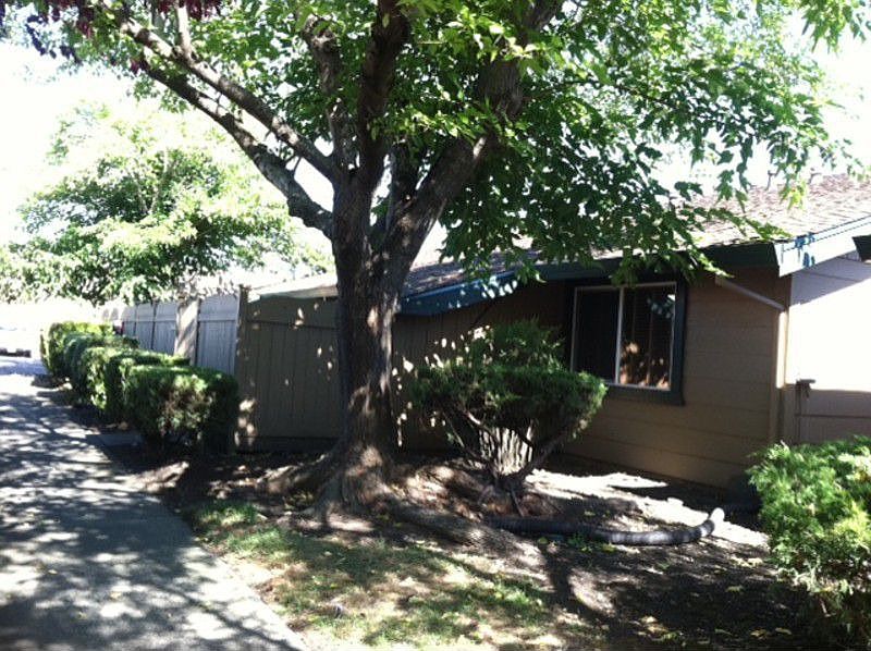 1st image of 425 Lincoln Ave
