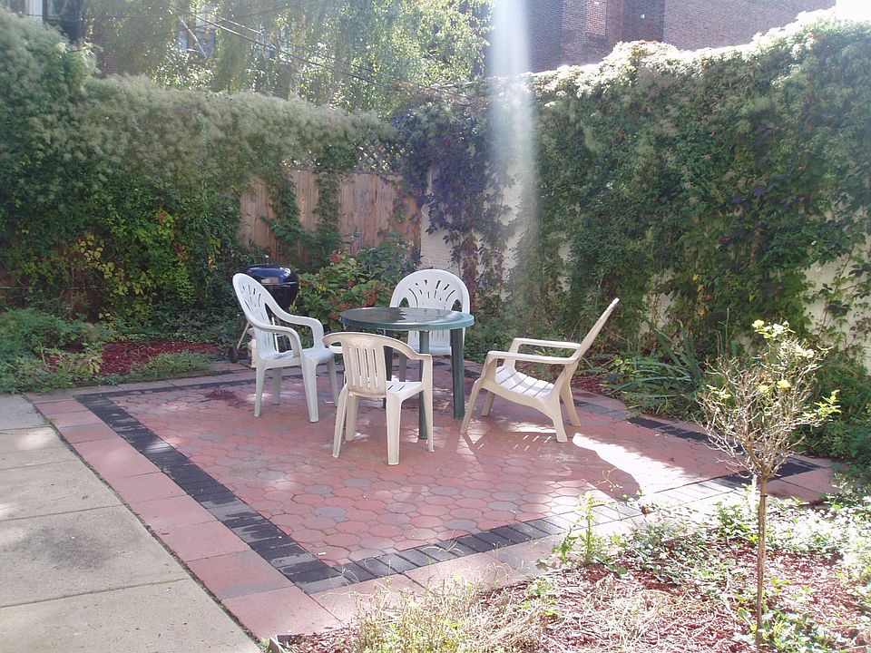 back yard