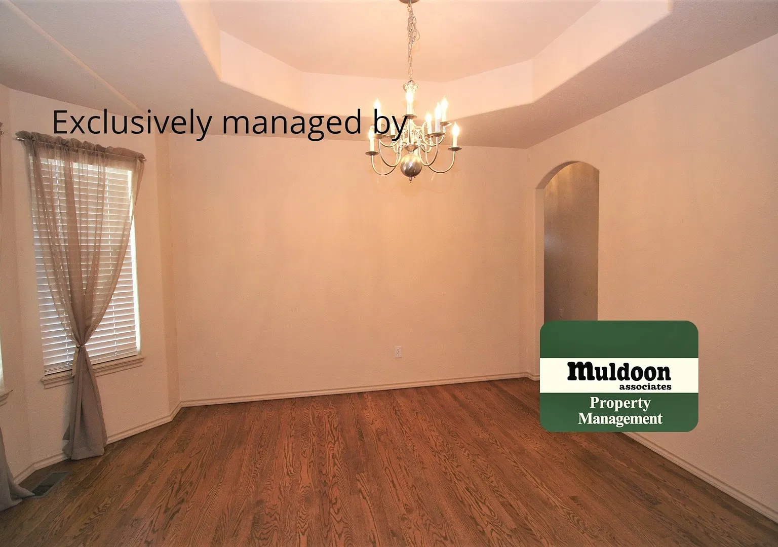 Splendid Wolf Ranch Home! Available soon! — Photo 3