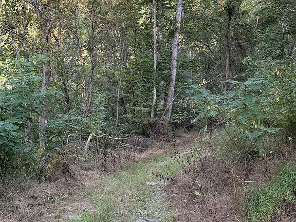 4th image of Tbd Caney Valley Rd