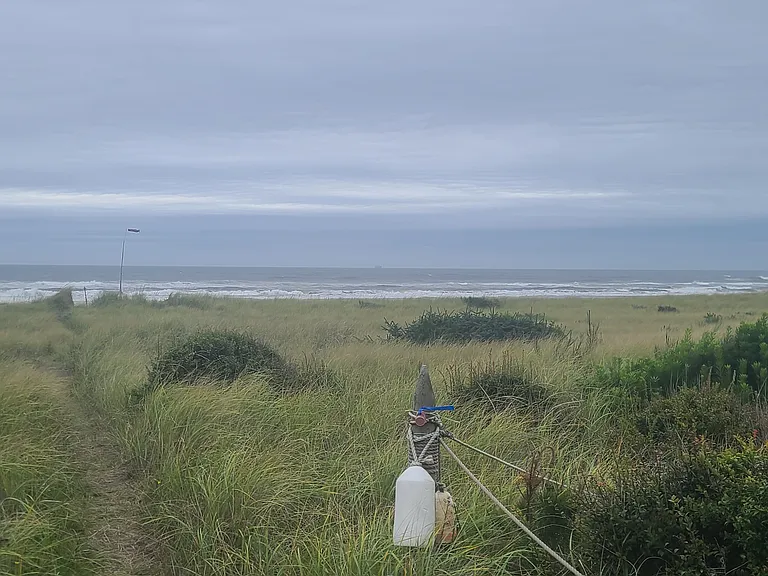 Path to ocean from front of house