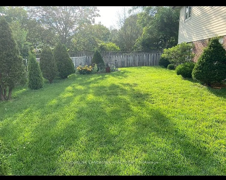 1 bed, $900 — Photo 4