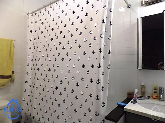 Rented by Blue Egg Realty Corp | media 6