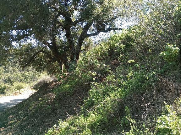 3rd image of 0 Old Chimney Rd #107