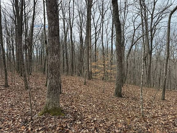 3rd image of 0 Cravenstown Rd