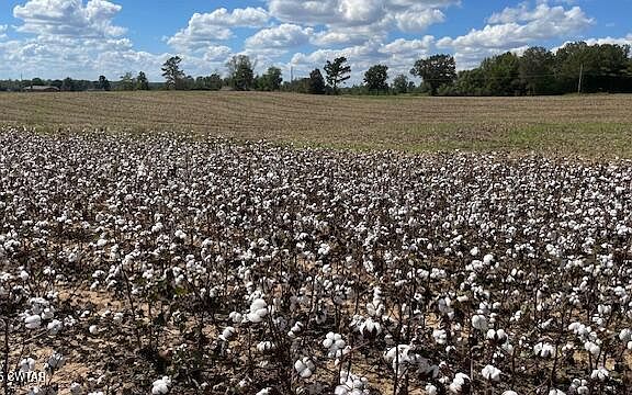 4th image of 0 Christmasville Rd