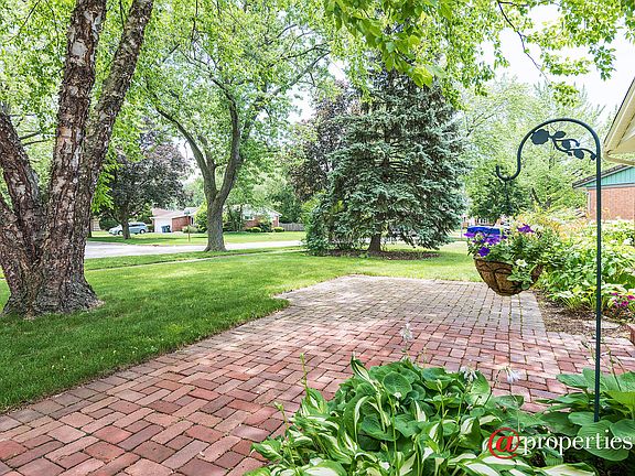 Front Yard