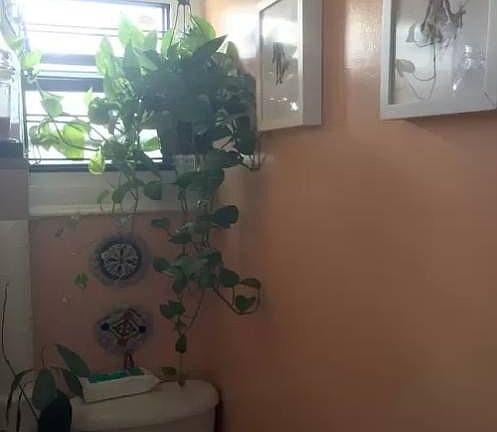 4th image of 1054 Willoughby Ave APT 3L