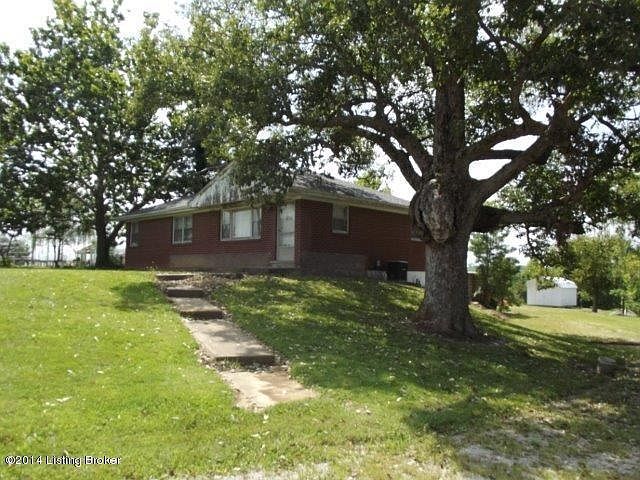 Fantastic shade trees