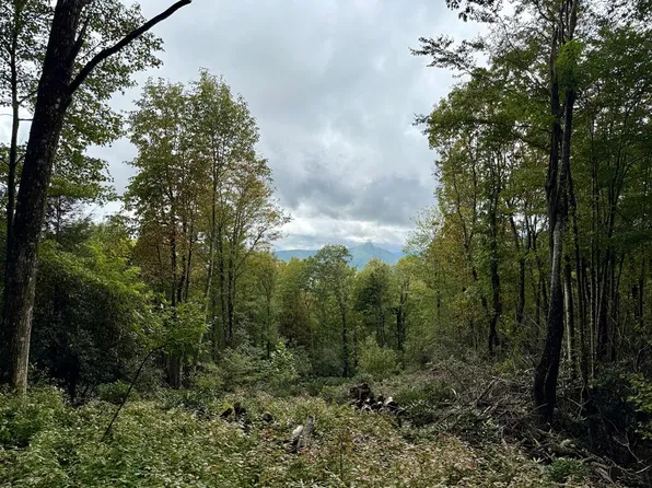 (undisclosed Address), Sapphire, NC 28774