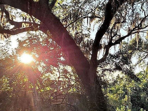 Lot view as sun sets