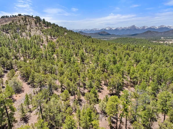 Tbd M Path, Cotopaxi, CO 81223